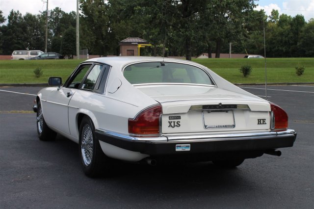 RaleighClassic85Jaguar2